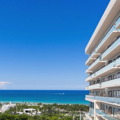 NoBe PARC Hummingbird Daytime